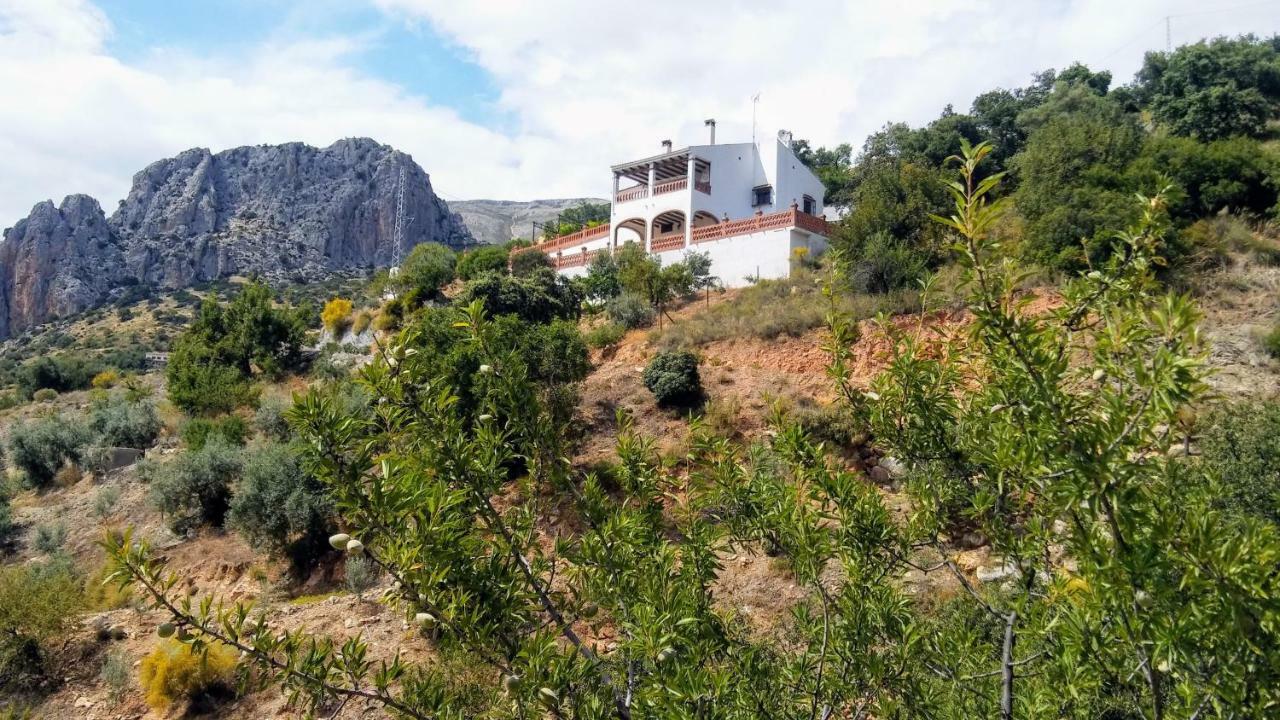 Casa Encina - Encinasola Turismo Rural. Алора Екстериор снимка